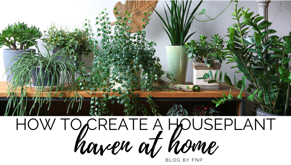HOW TO CREATE A HOUSEPLANT HAVEN AT HOME!